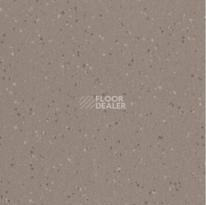 Линолеум Polyflor Polysafe QuickLay Pur PUR Truffle Shore-5762 коричневый фото 1 | FLOORDEALER